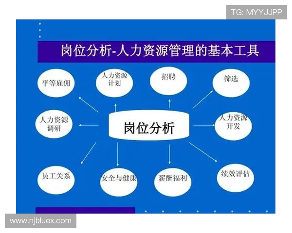 上海排球队防反策略分析与比赛表现评估 上海排球队防反策略分析与比赛表现评估