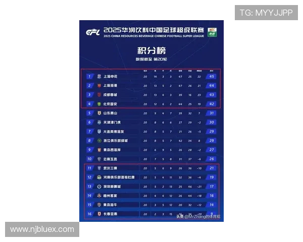 武汉排球队在钻石联赛积分榜中以95分稳居第一名展现强劲实力