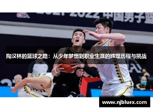 陶汉林的篮球之路：从少年梦想到职业生涯的辉煌历程与挑战